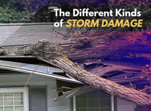 The different kinds of storm damage